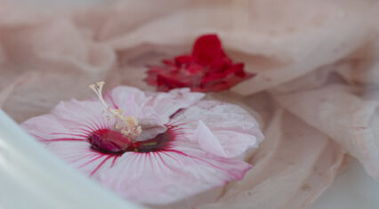 Bain préparé avec une fleur rose et des pétales