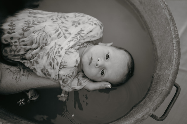 Bain enveloppé d un bébé réalisé à domicile avec des fleurs dans l eau